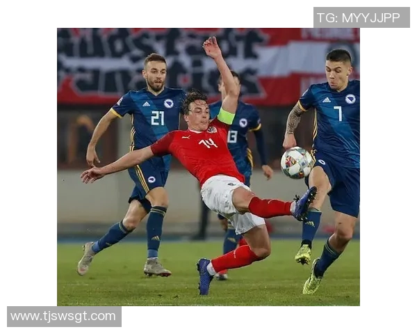 波黑对阵威尔士精彩直播全程回顾及赛后分析