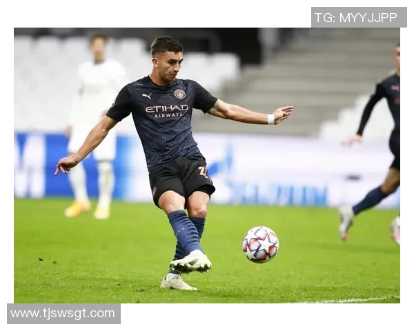 费兰托雷斯的足球之路与未来展望:从天才少年到世界级球星的蜕变 费兰托雷斯的足球之路与未来展望:从天才少年到世界级球星的蜕变