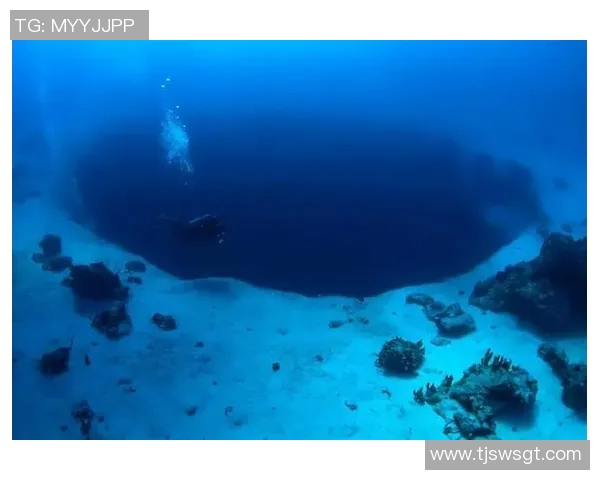 谭海:探索海洋深处的神秘与美丽,揭示人类与自然的和谐共生之道 谭海:探索海洋深处的神秘与美丽,揭示人类与自然的和谐共生之道