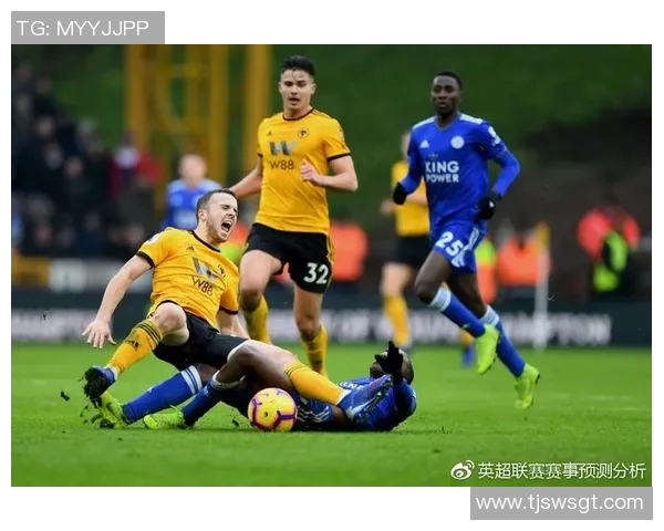 狼队与诺维奇激战正酣精彩直播全程回顾与分析 狼队与诺维奇激战正酣精彩直播全程回顾与分析